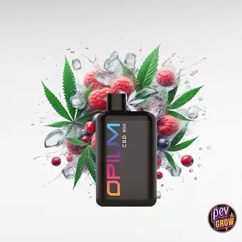 Vienreizējais CBD veips...