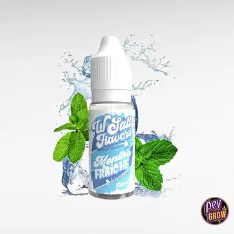 Fresh Mint Nicotine Salts...