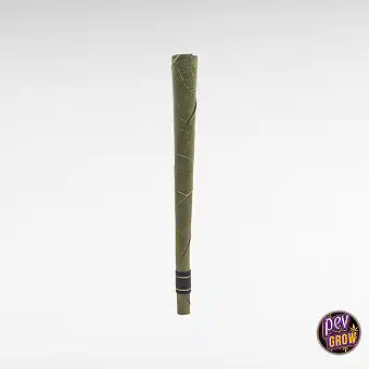 Iguanito Predvajani Blunt...