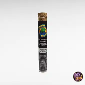 Pre Roll Iguanito - Blunt...