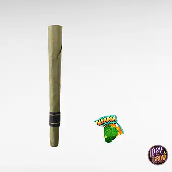 Iguanito Pre Roll - Blunt -...