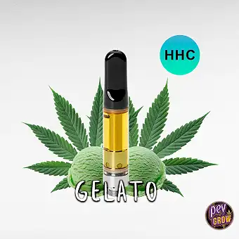 Einweg HHC 900mg – Gelato...