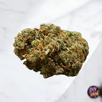 Fleurs HHC 60% TNT Cookies