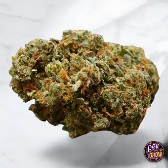 HHC 60% TNT Cookies Flowers