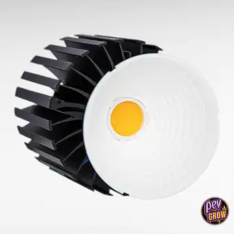 LedBell 50W Citizen –...