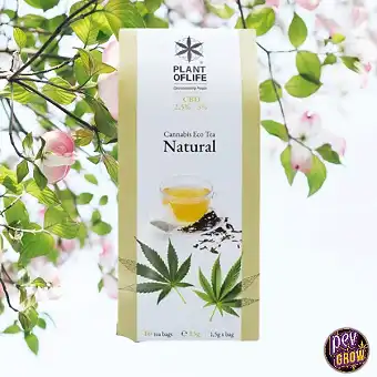 Natural Tee mit 3% CBD...