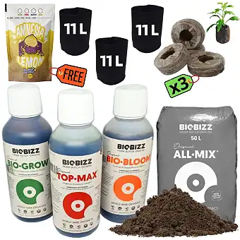 Kit Try-Pack pour 3 Plantes