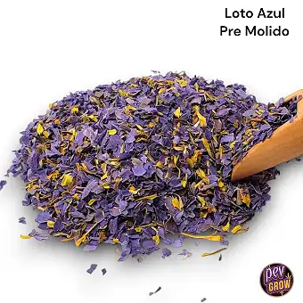 28g de Flores de Lótus Azul...