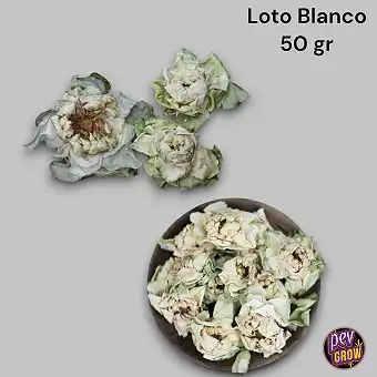 Fleurs de Lotus Blanc 50gr