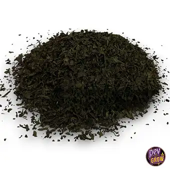 Sage Extract x10 (4 gr)