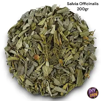 Salvia Officinalis tisana a...