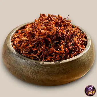 Wild Dagga květy (Leonotis...