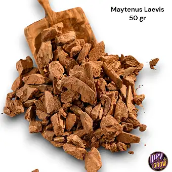 Metsik Chuchuhuasi koor 50g...