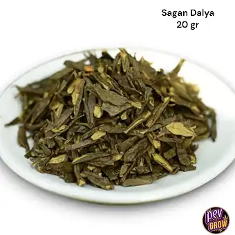 Sagan Dalya Yabani Taç...