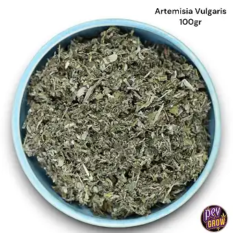 Βιολογικά Άνθη Mugwort...