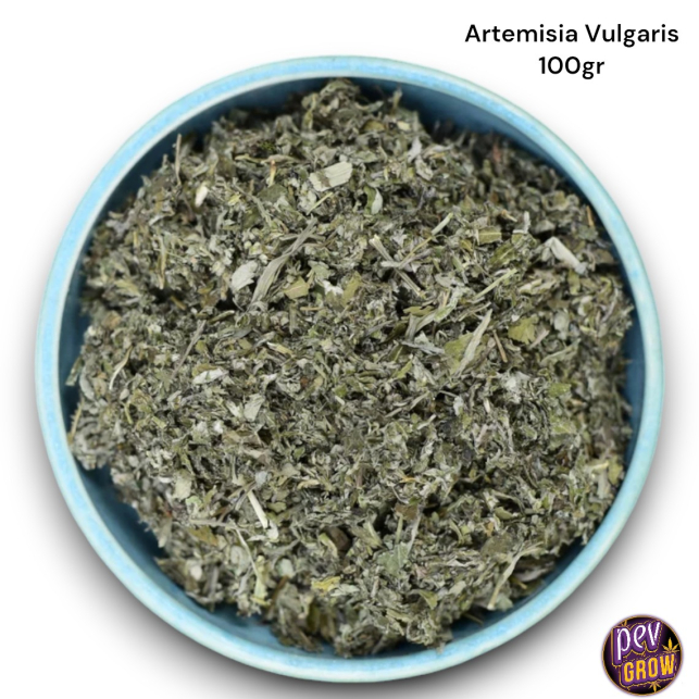 Connecteur De Décharge De Contrainte O-Z/Gedney SR-505-55 - 1/2 Pouce, Droit, Métal