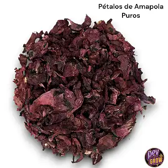 Organic Wild Poppy Tea /...