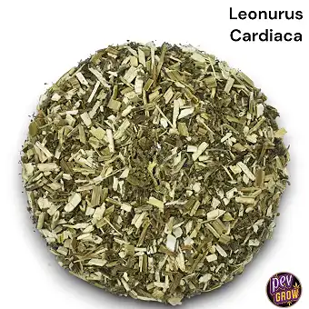 Βότανο Motherwort...