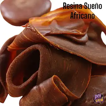 Resina African Dream /...