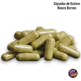 Cápsulas de Kratom Blanco...