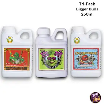 Bigger Buds Tri-Pack