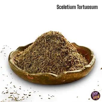 Herba Kanna Ecològica –...