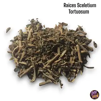 Organiczne Korzenie Kanna -...