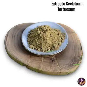 Ekstrakt Kanna Organiczny –...