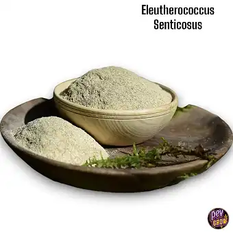 Organiskt Siberiskt...