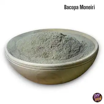 Pó Orgánico de Brahmi...