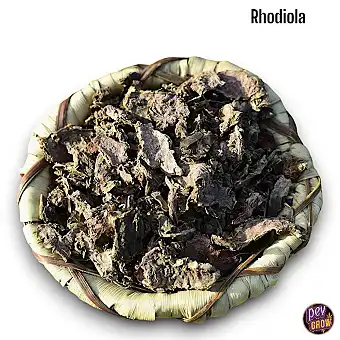 Té Rhodiola / Las raíces...