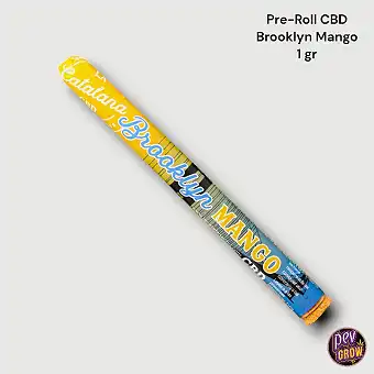 Pre-Roll CBD Brooklyn Mango