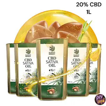 Huile d'Argan Eco 20% CBD 1...