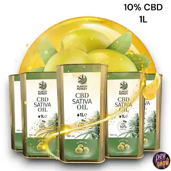 Eco Olive Oil CBD 10% 1...