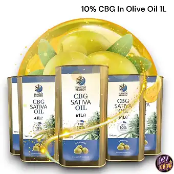 Huile d'Olive Éco CBG 10% 1...