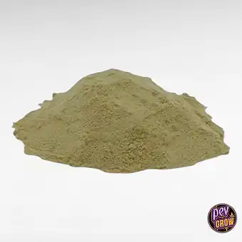 Pólen CBG 28% 100 g – Haxix...