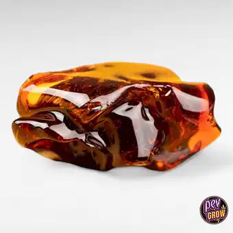 Wax CBG 41 % Espektro Osoa...