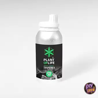 Cannabis-Terpene 250ml