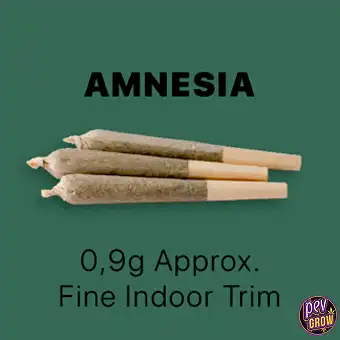 Amnesia Pre-Rolled CBD...