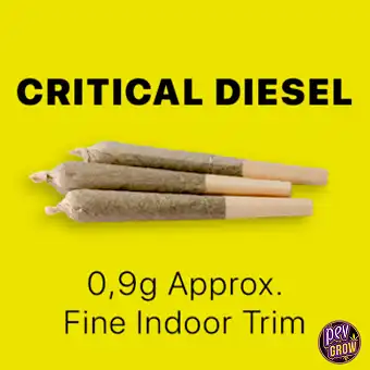 Critical Diesel Pre-Rolled...