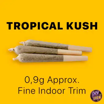 Tropical Kush Pre-Rolled...