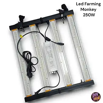 Painel LED Farming Monkey...
