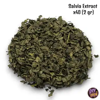 Salvia extracto x40 (2 gr)