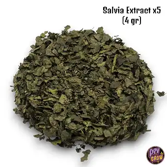 Estratto di Salvia x5 (4 gr)