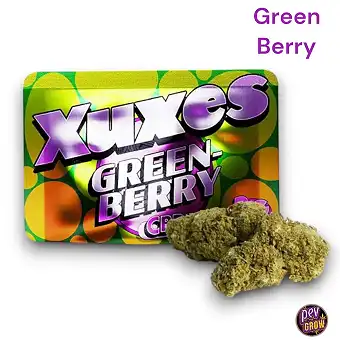 CBD Buds Green Berry 3 g –...