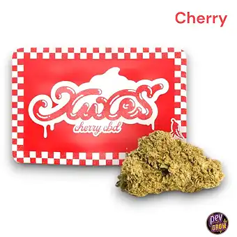 Flores CBD Xuxes Cherry 3g...