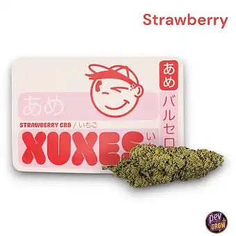 CBD Xuxes Buds 3gr. Strawberry