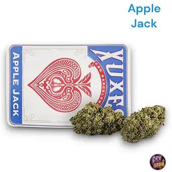 CBD буточки 3 г Apple Jack...
