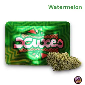 CBD Wiet Watermelon 3g –...