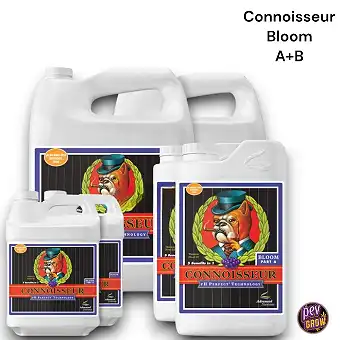 Connoisseur Bloom A+B Ph...